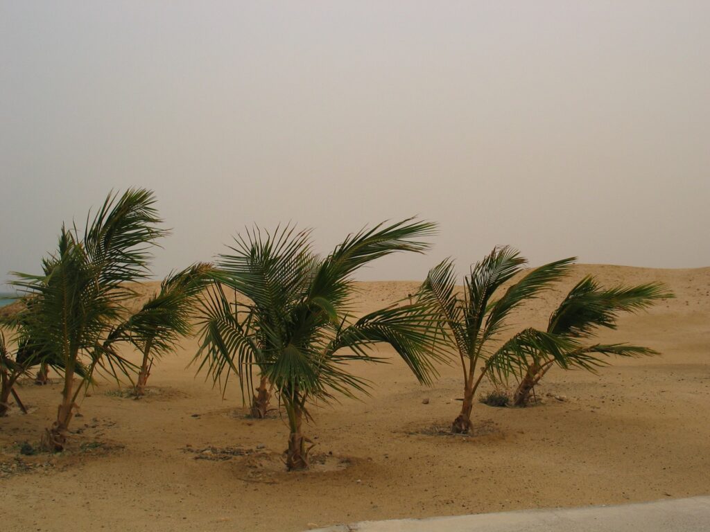 Der Sandsturm kommt näher