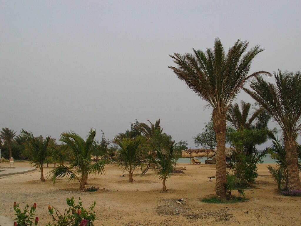 Der Sandsturm kommt näher