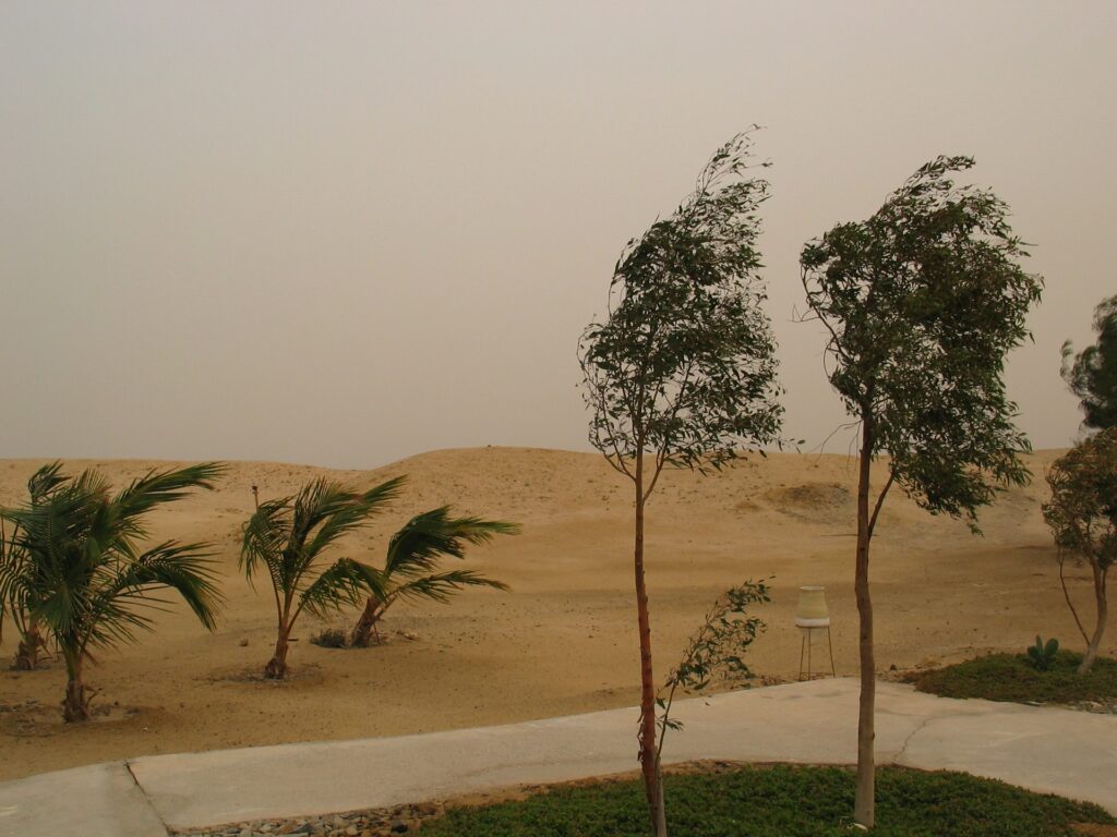 Der Sansturm sieht harmlos aus