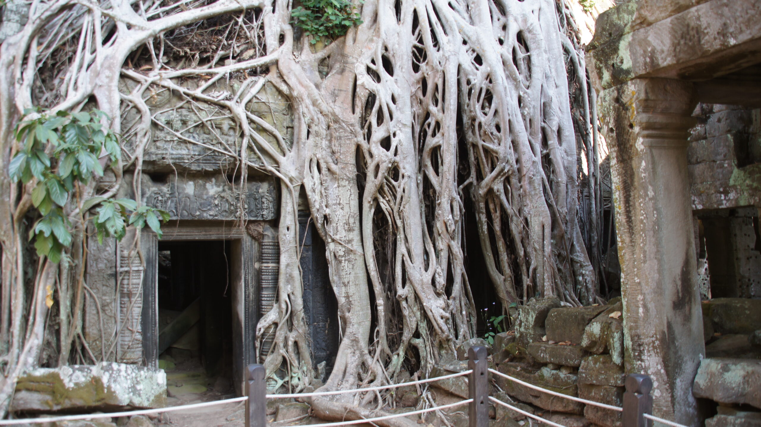 Ta Prohm Tempel