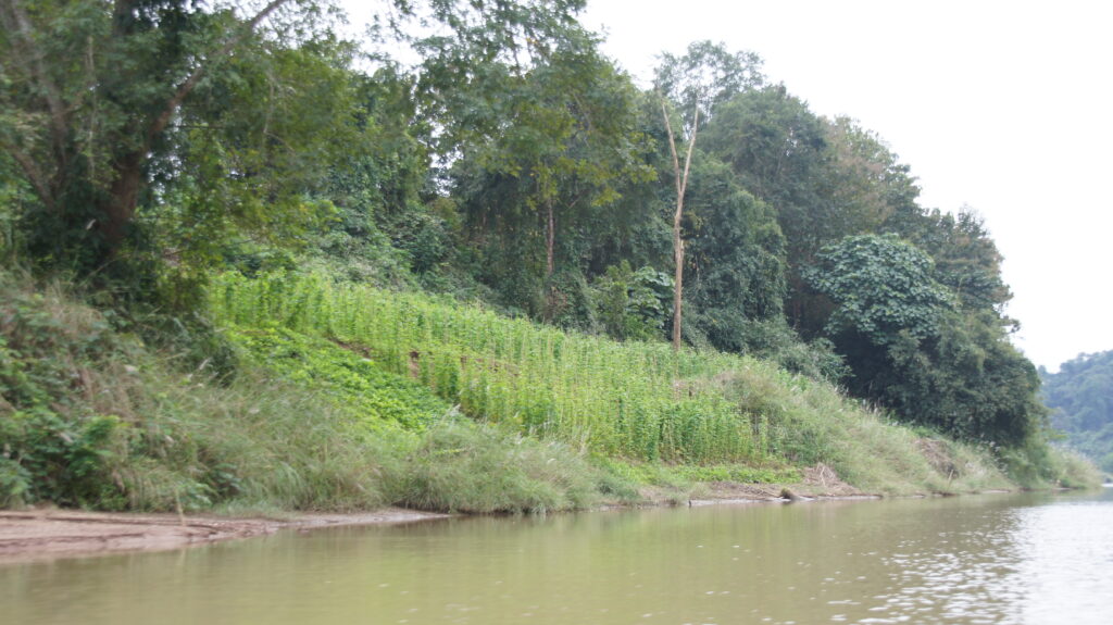 Am Fluss