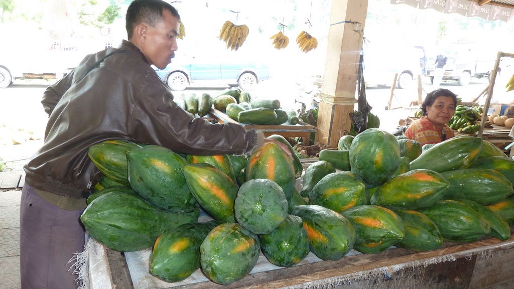 Vielleicht eine Art von Melonen?