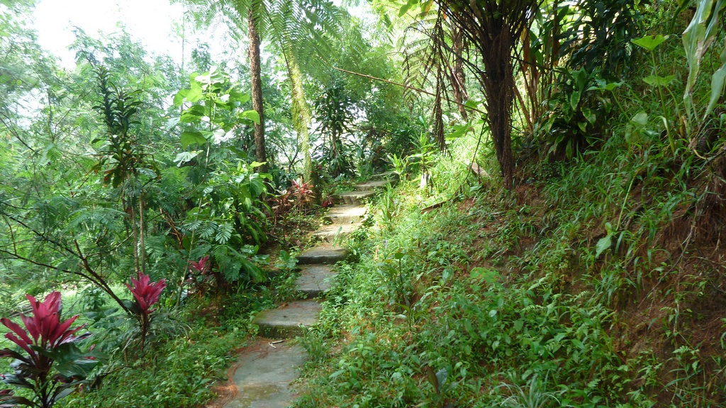 Weg zu den heißen Quellen