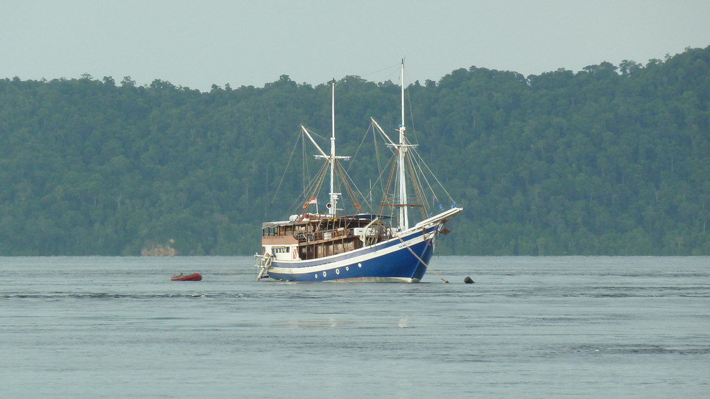 MS Raja Ampat Explorer