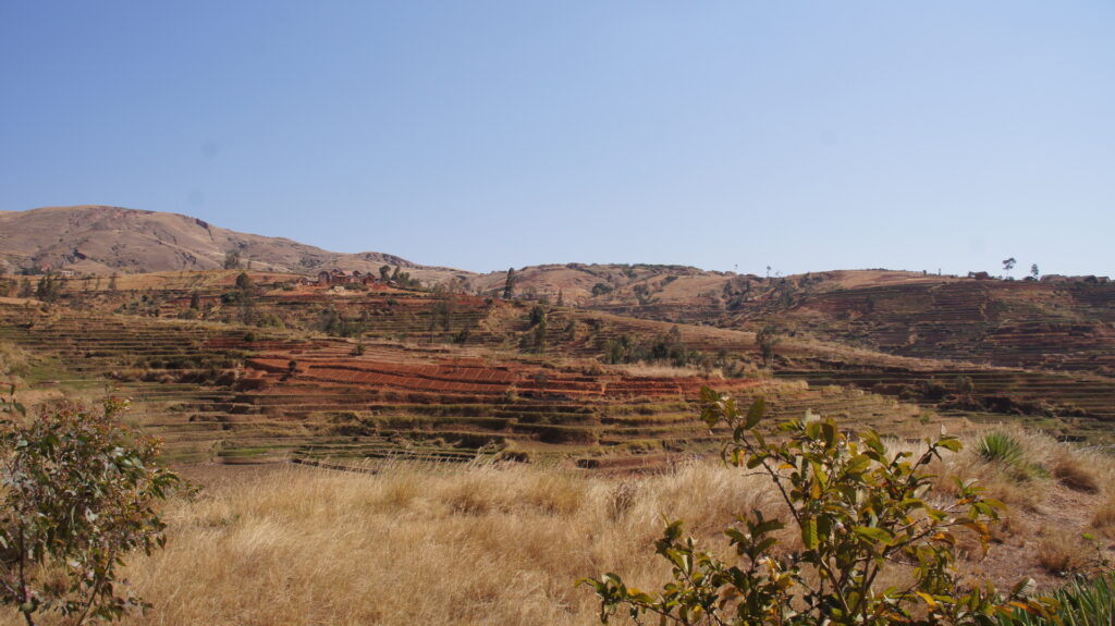 Felder - irgendwo im Nichts