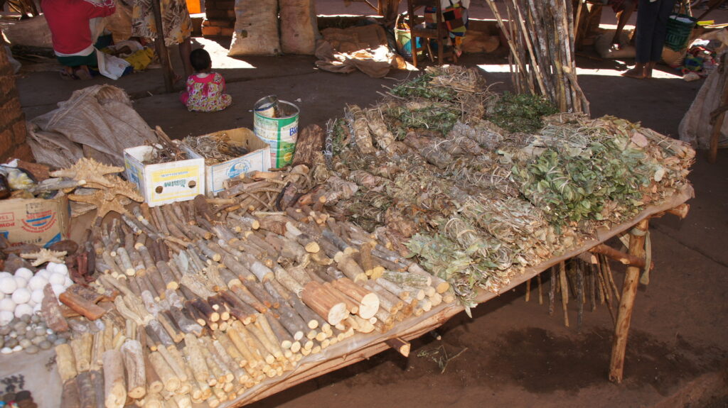 Gräser - Wurzel - Feuerholz