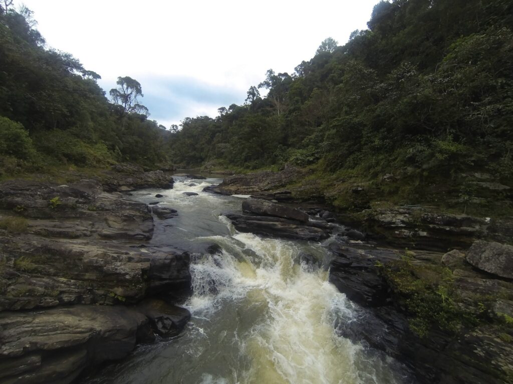 Tal in Ranomafana Tal in Ranamofana