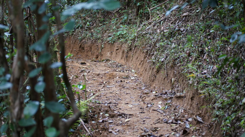 Ein nicht erkannter Weg