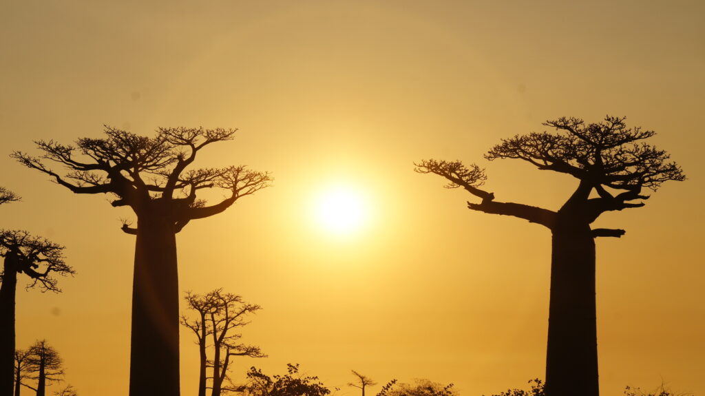 Die Sonne geht unter