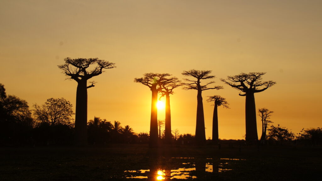 Fast die letzten Strahlen