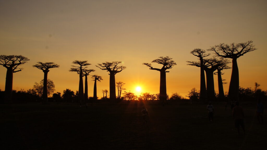 Jetzt ist der Tag zu Ende