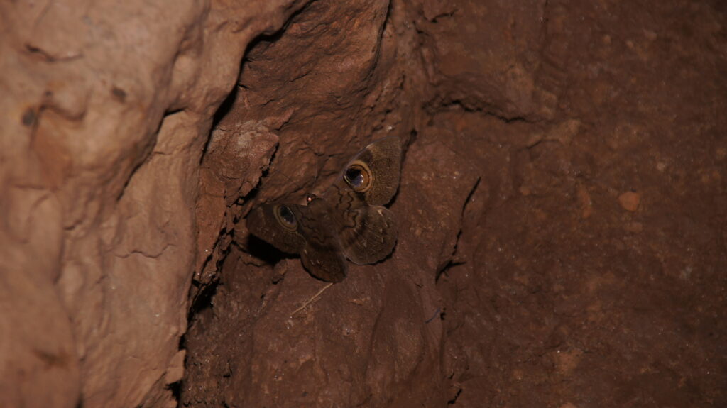 Flussfahrt am Bemaraha