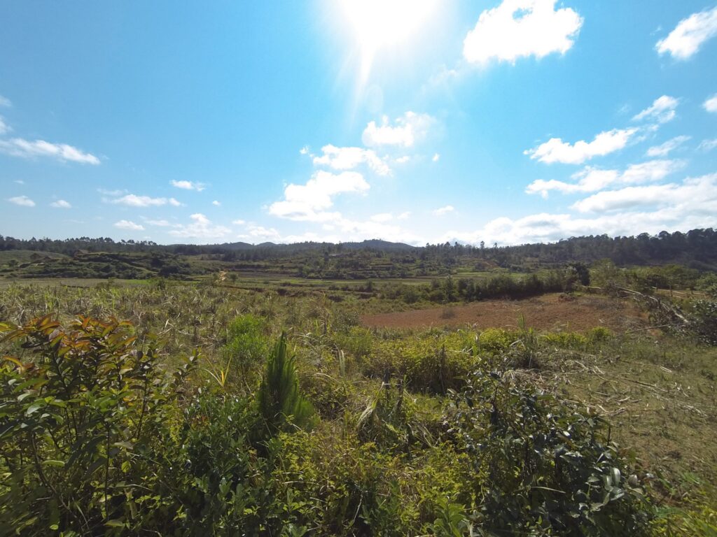 die Landschaft aus dem Zug heraus Blick aus dem Zugfenster
