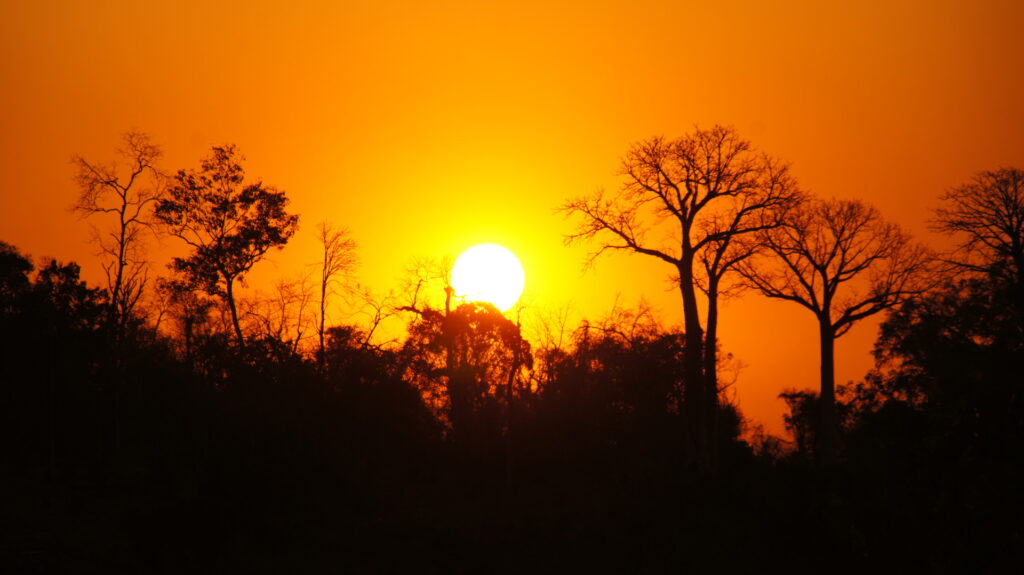 Sonnenuntergang am Rastplatz