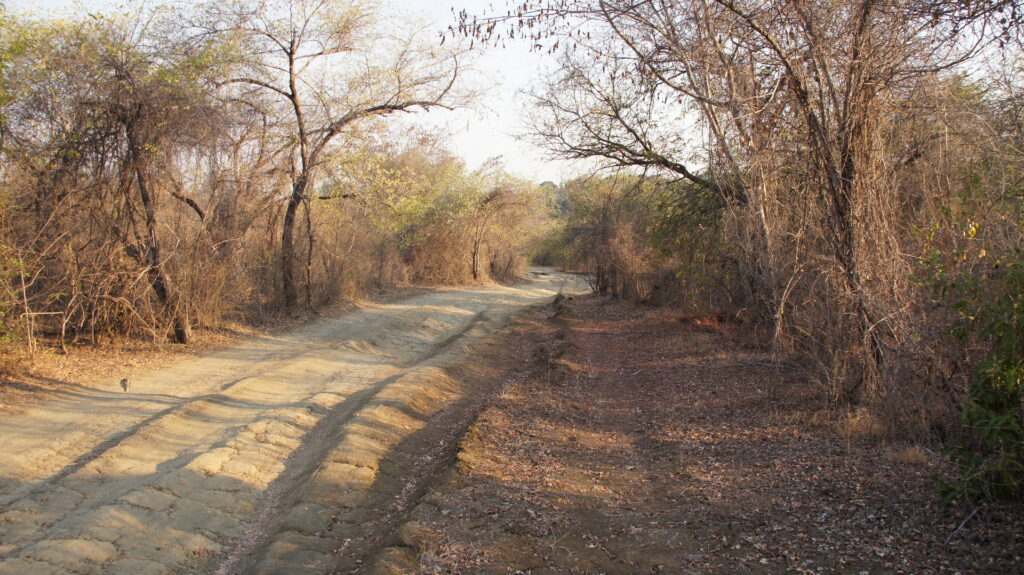 oder ausgefahrene Wege