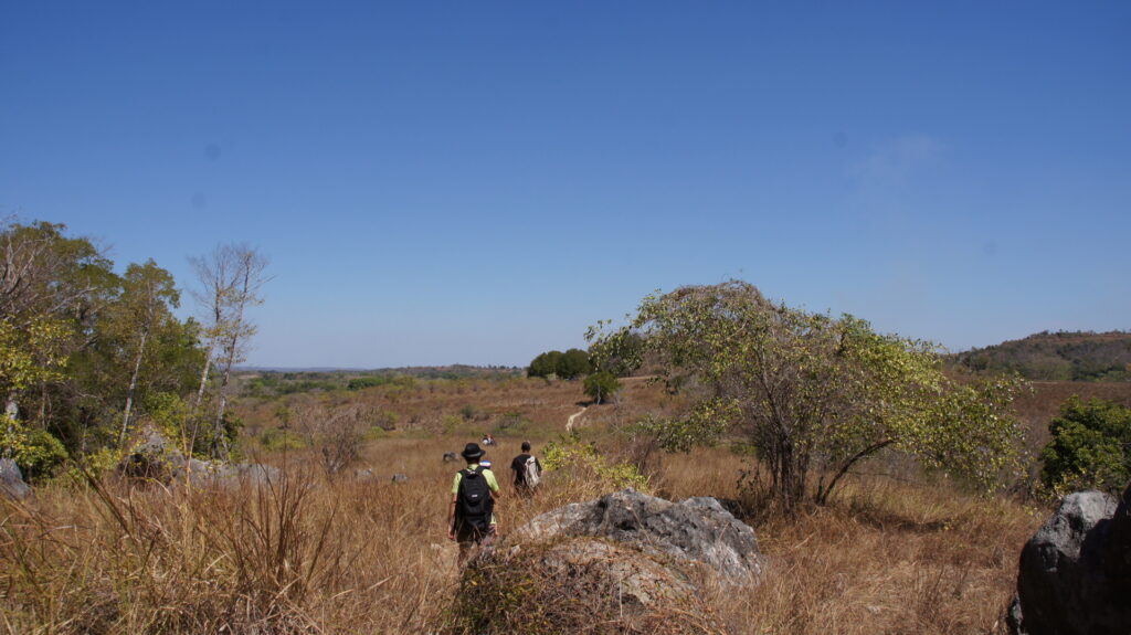 Grasland af dem Rückweg