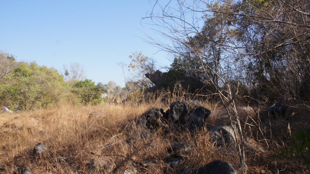 Parkplatz bei den großen Tsingys