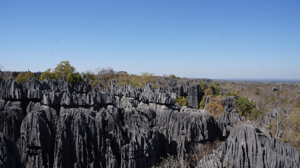 Weitblick über die Tsingys
