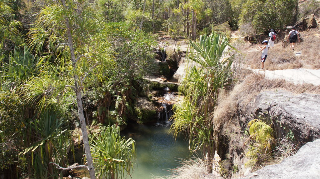 Piscine naturelle Piscine Naturelle
