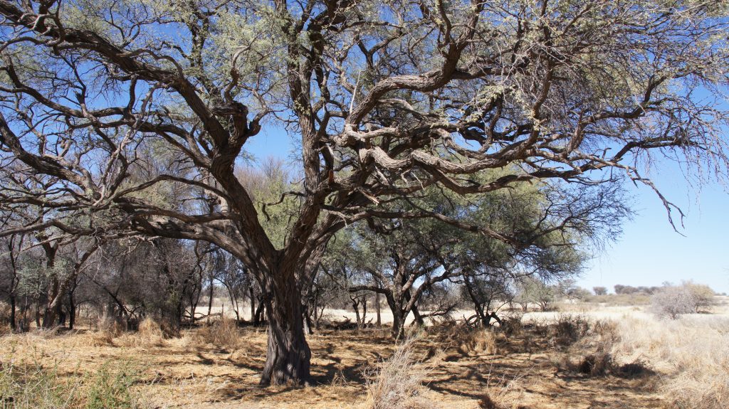 Auf dem Farmgelände