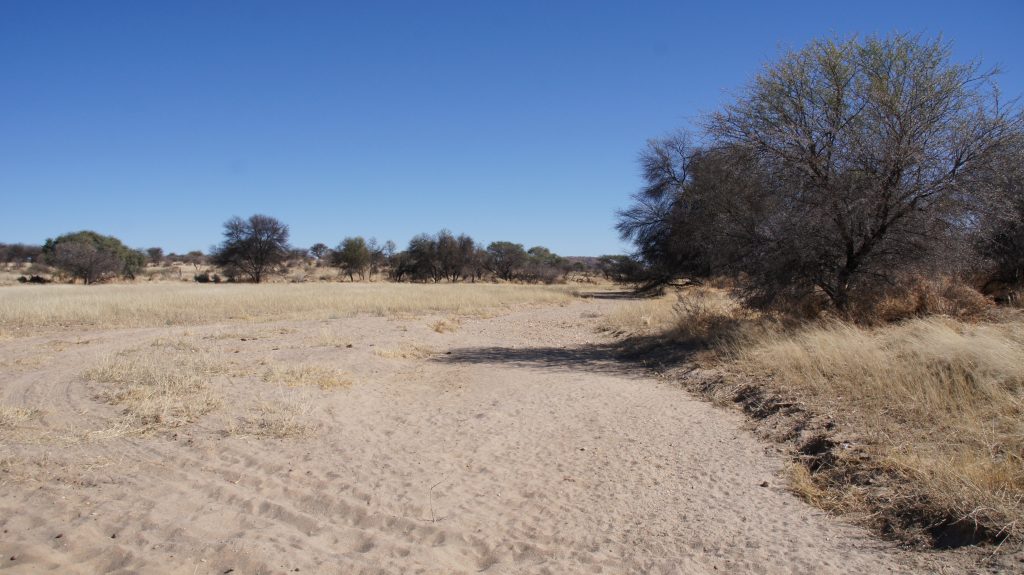 Auf dem Farmgelände