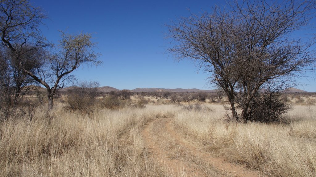 Auf dem Farmgelände