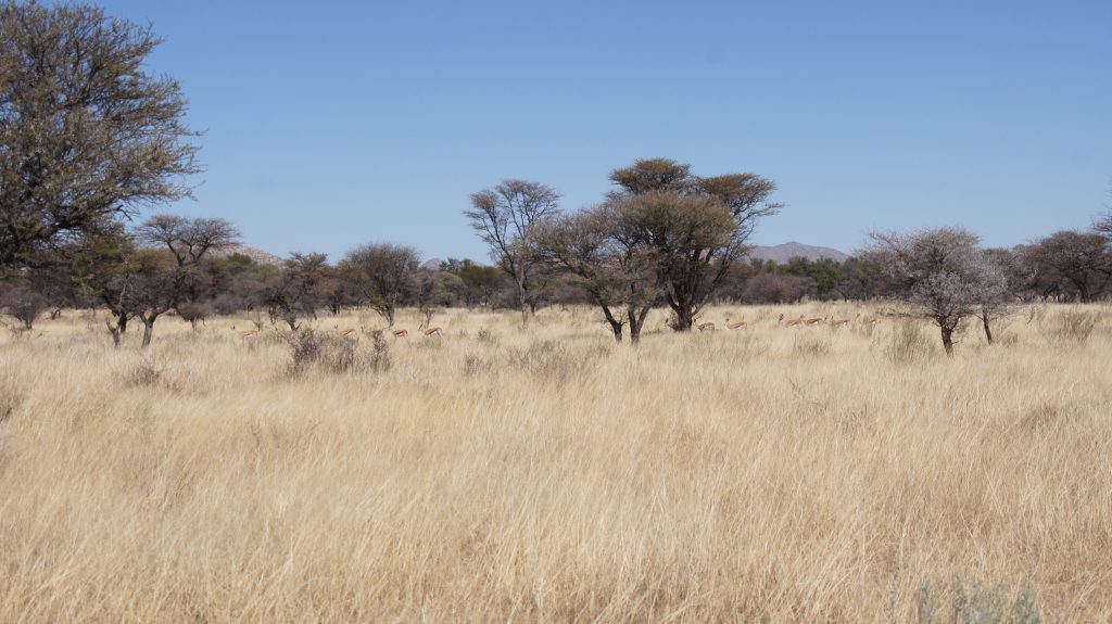 Auf dem Farmgelände