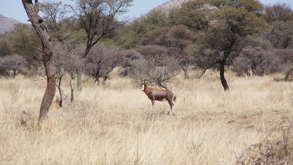 Auf dem Farmgelände