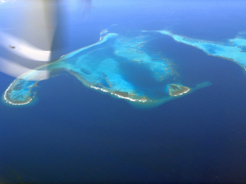 Apo Reef