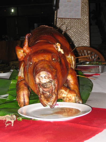 Das Spanferkel von vorne