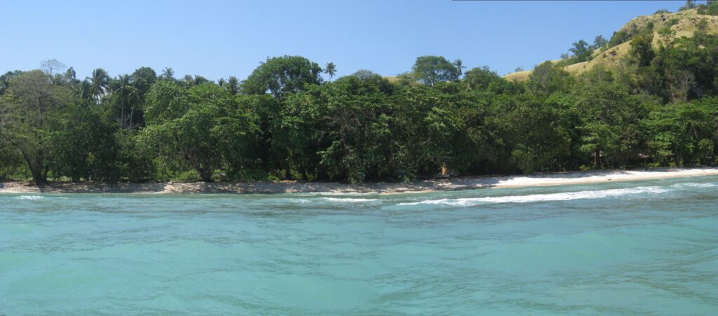 Küstensicht bei Pulisan