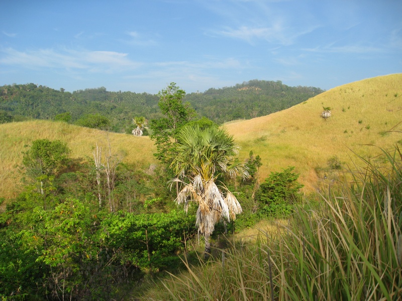 Blick ins Hinterland