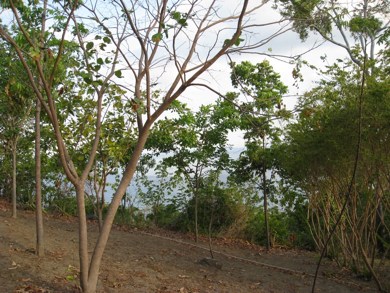 Direkt hinterm Bungalow