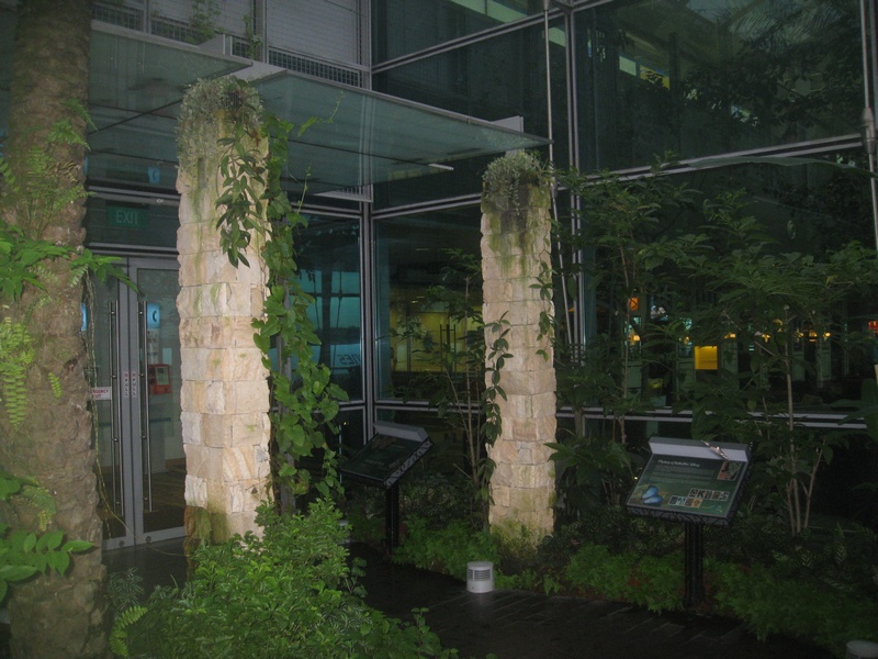 bewachsene Steinsäulen