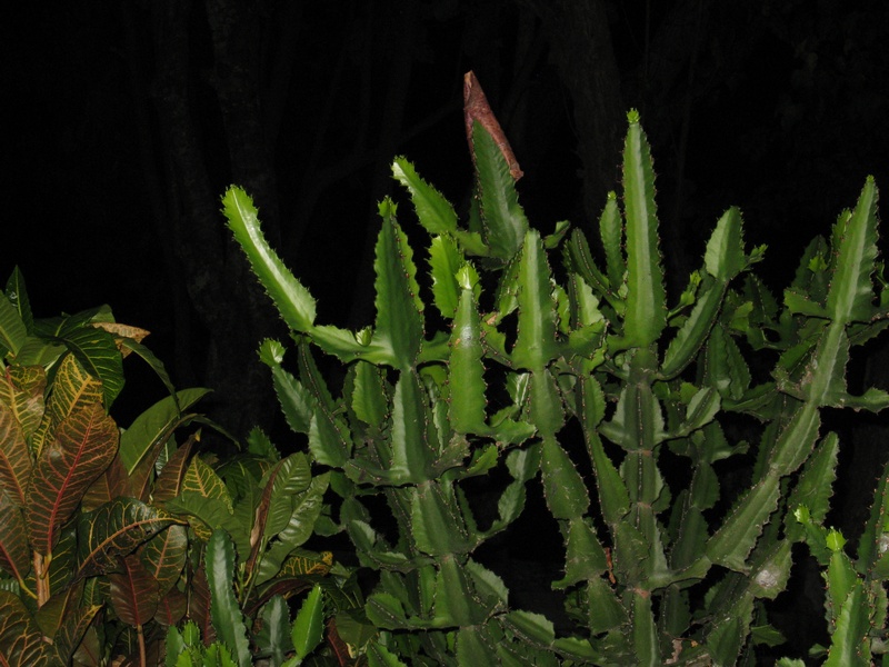 Abends vorm Bungalow