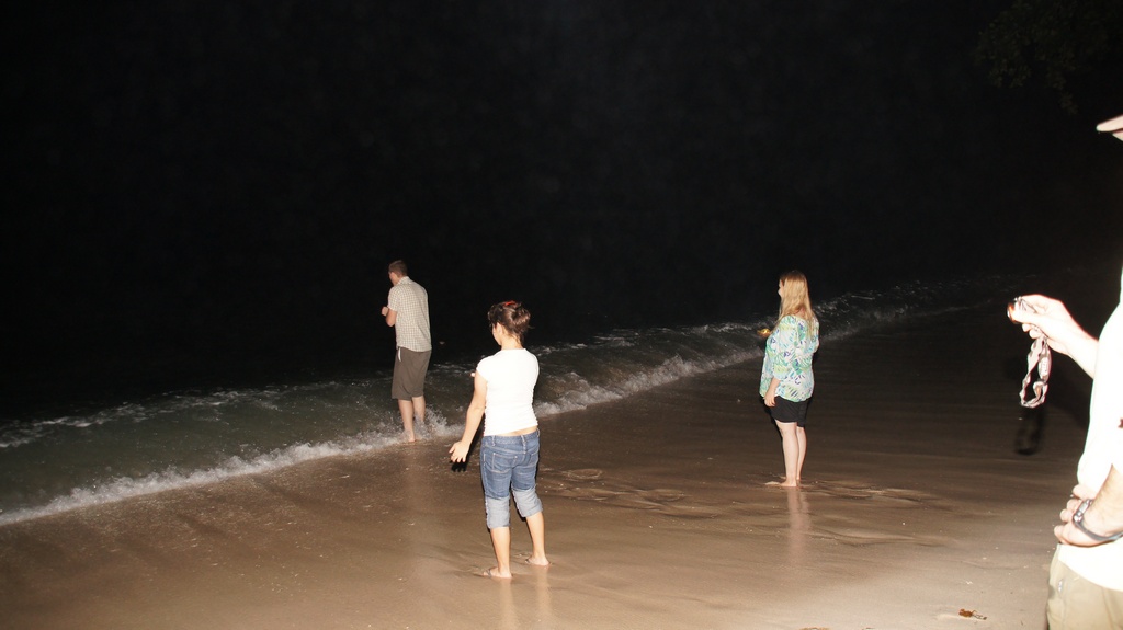 Ins Wasser entlassen