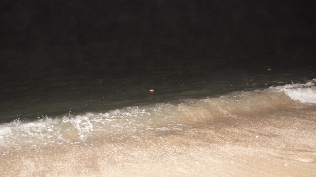 Und nur kurz geleuchtet