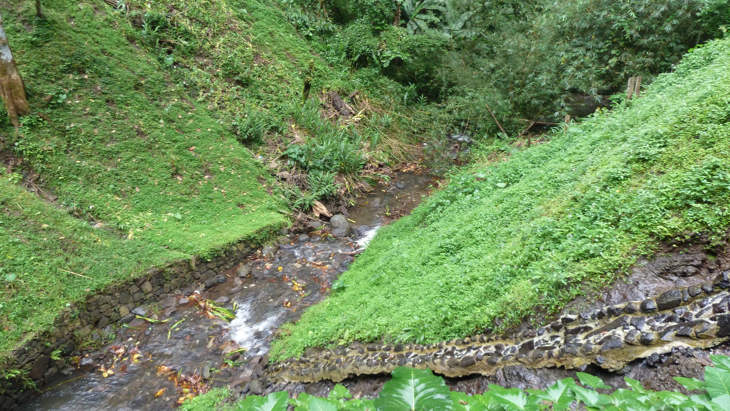 Blick in die Landschaft