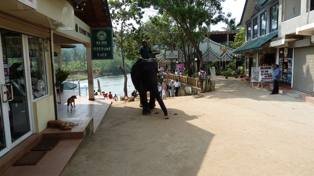 Der letzte auf dem Rückweg