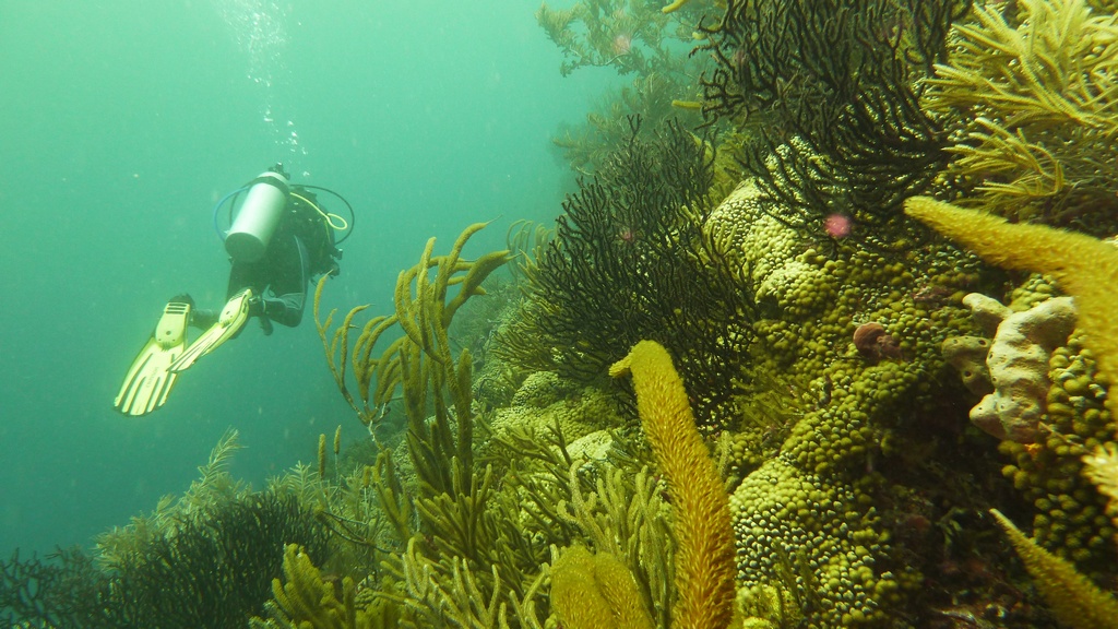 Noch ein kleines Stück