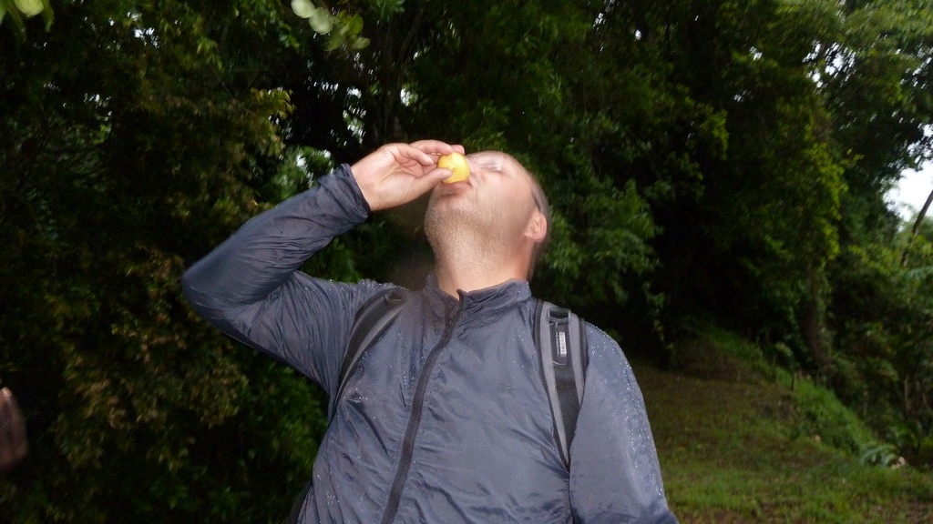 Frucht als Wasserspender